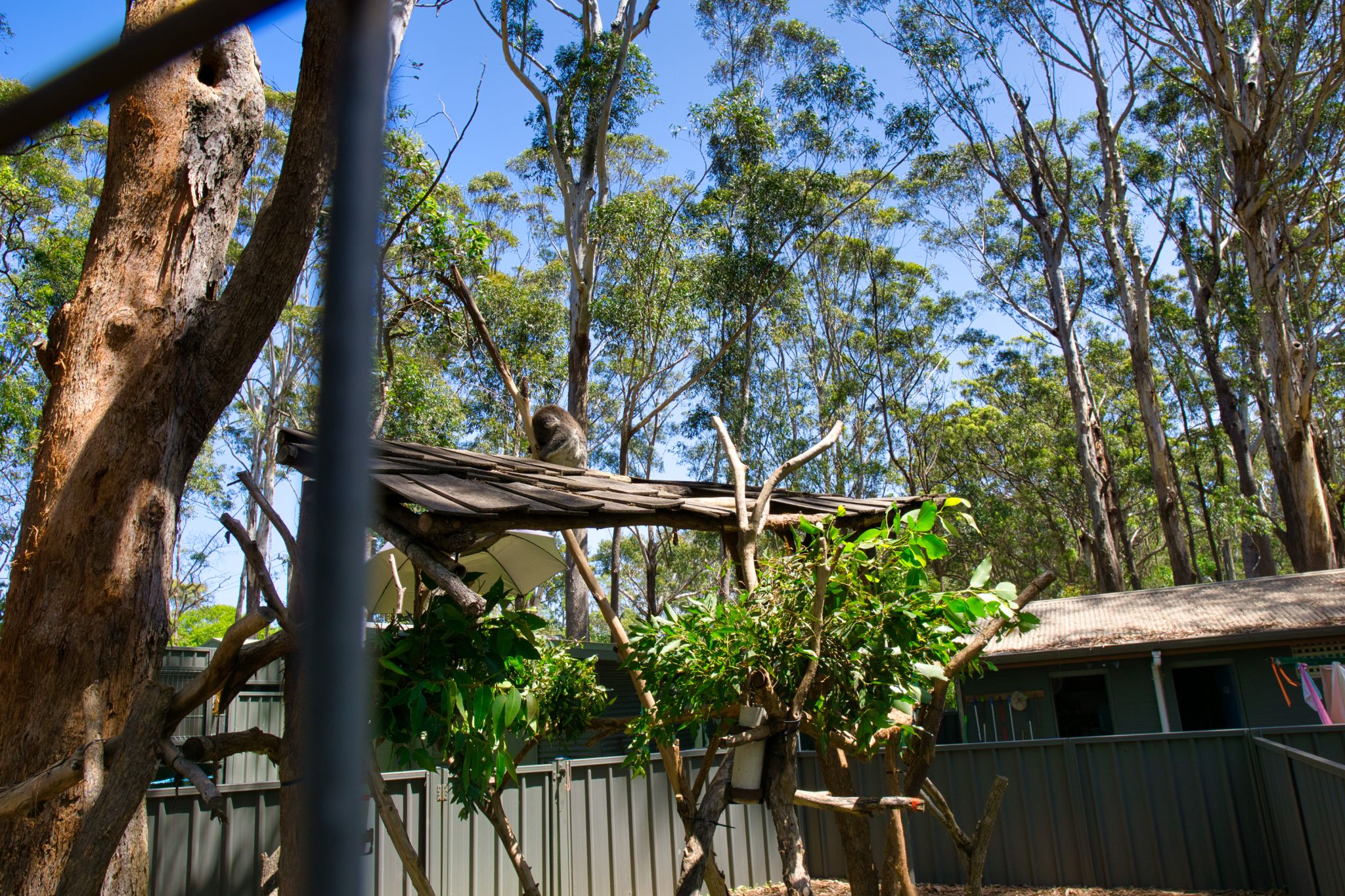 Roadtrip Day 17 18   Port Macquarie 31